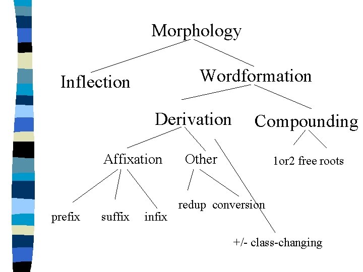 Morphology Wordformation Inflection Derivation Affixation prefix suffix infix Compounding Other 1 or 2 free