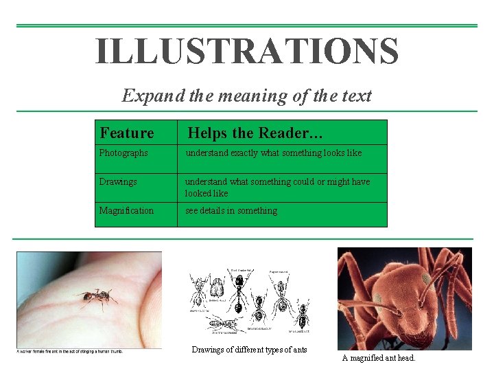 ILLUSTRATIONS Expand the meaning of the text Feature Helps the Reader… Photographs understand exactly ILLUSTRATIONS Expand the meaning of the text Feature Helps the Reader… Photographs understand exactly