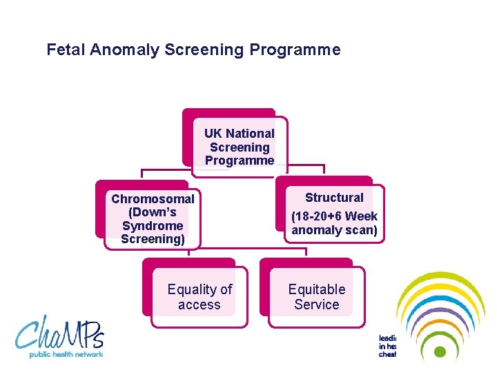 Fetal Anomaly Screening Programme UK National Screening Programme Chromosomal (Down’s Syndrome Screening) Equality of