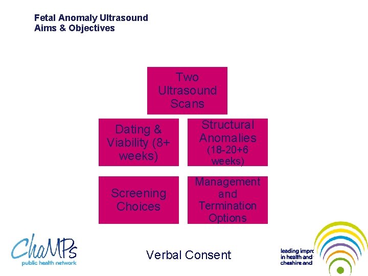 Fetal Anomaly Ultrasound Aims & Objectives Two Ultrasound Scans PAPP-A Structural Dating & Anomalies