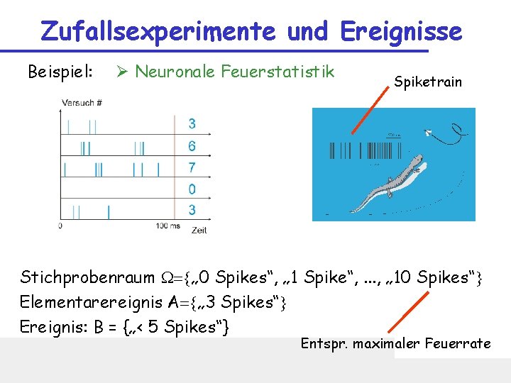 Zufallsexperimente und Ereignisse Beispiel: Ø Neuronale Feuerstatistik Spiketrain Stichprobenraum W={„ 0 Spikes“, „ 1