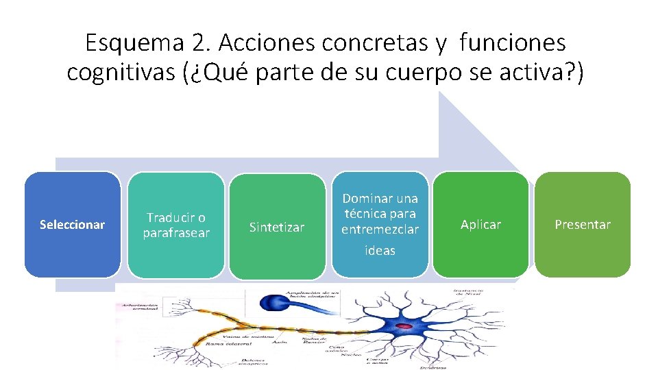Esquema 2. Acciones concretas y funciones cognitivas (¿Qué parte de su cuerpo se activa? Esquema 2. Acciones concretas y funciones cognitivas (¿Qué parte de su cuerpo se activa?