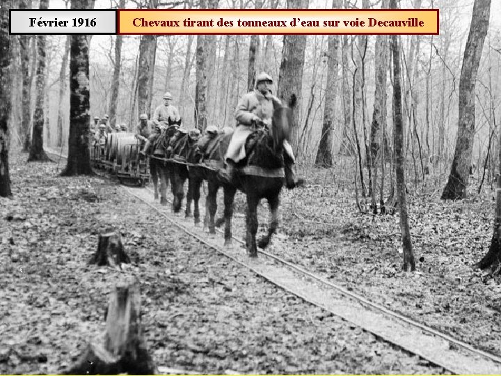 Février 1916 Chevaux tirant des tonneaux d’eau sur voie Decauville 