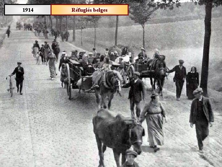 1914 Réfugiés belges 