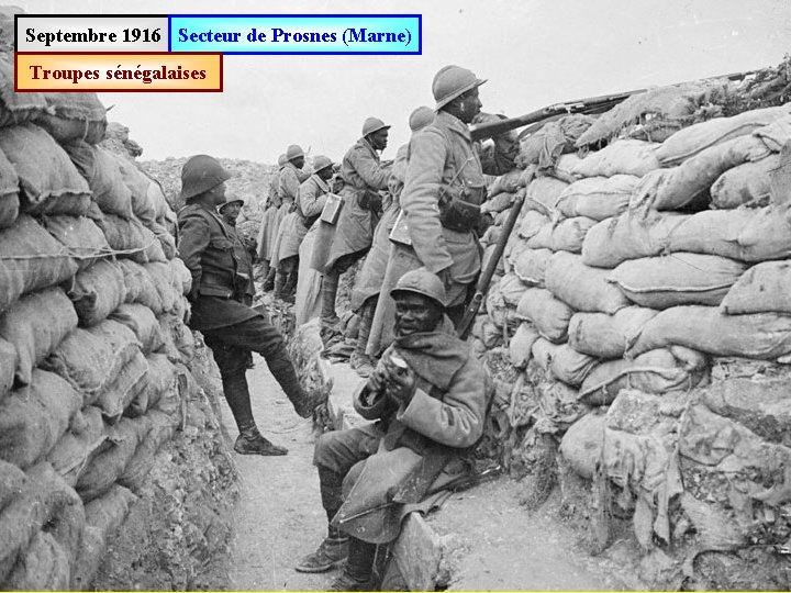 Septembre 1916 Secteur de Prosnes (Marne) Troupes sénégalaises 