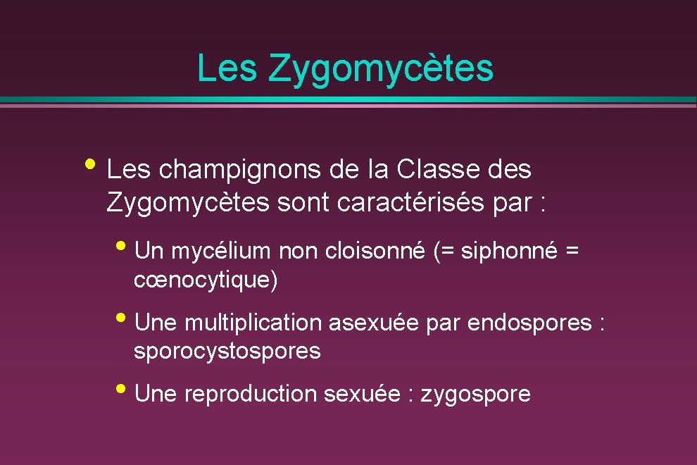 Les Zygomycètes • Les champignons de la Classe des Zygomycètes sont caractérisés par :