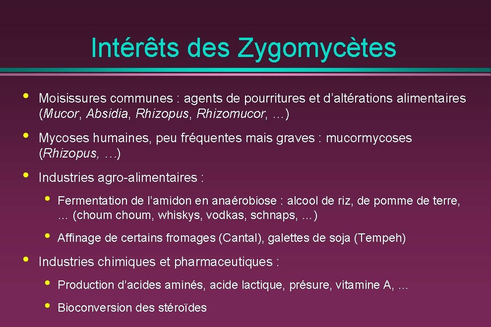 Intérêts des Zygomycètes • Moisissures communes : agents de pourritures et d’altérations alimentaires (Mucor,