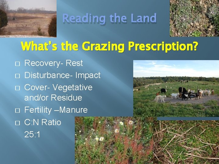 Reading the Land What’s the Grazing Prescription? � � � Recovery- Rest Disturbance- Impact