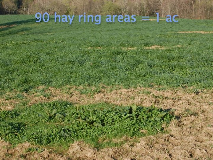 90 hay ring areas = 1 ac 