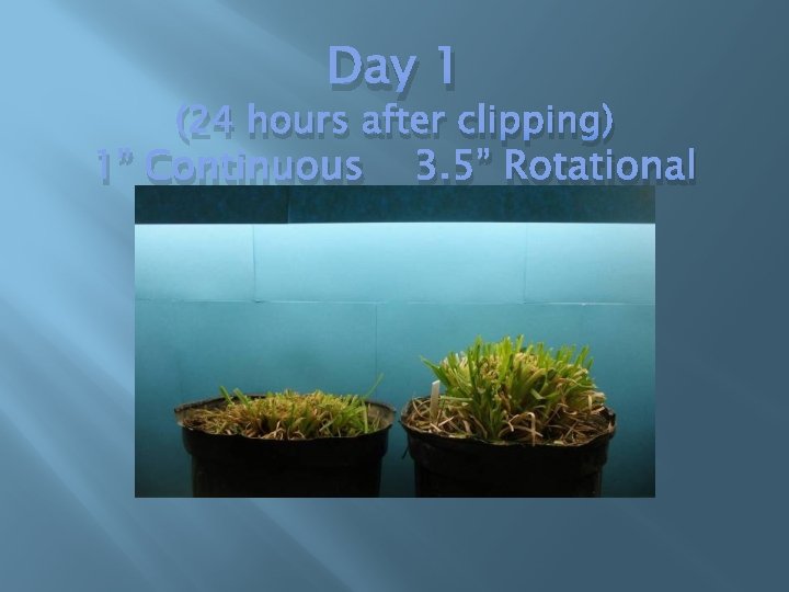 Day 1 (24 hours after clipping) 1” Continuous 3. 5” Rotational 
