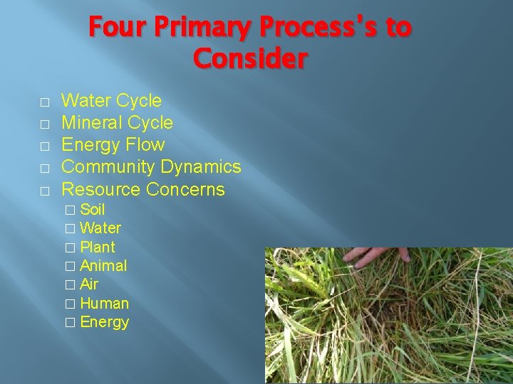 Four Primary Process’s to Consider � � � Water Cycle Mineral Cycle Energy Flow