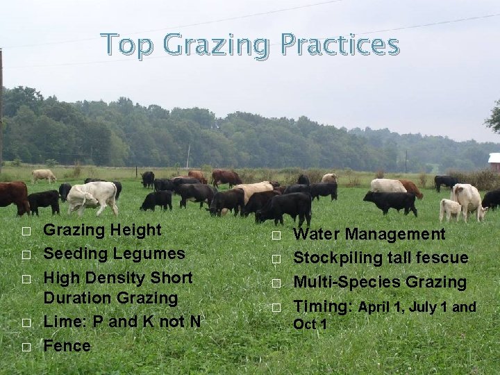 Top Grazing Practices � � � Grazing Height Seeding Legumes High Density Short Duration
