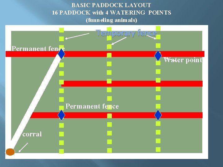 BASIC PADDOCK LAYOUT 16 PADDOCK with 4 WATERING POINTS (funneling animals) Temporary fence Permanent