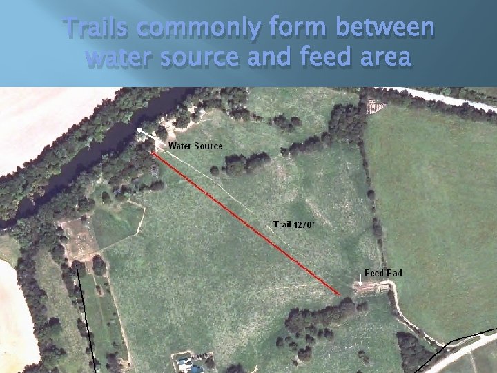 Trails commonly form between water source and feed area 