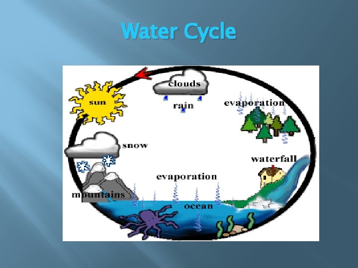 Water Cycle 