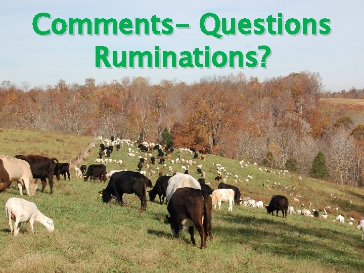 Comments- Questions Ruminations? 