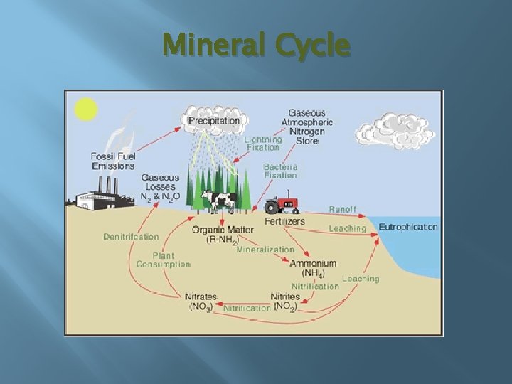 Mineral Cycle 