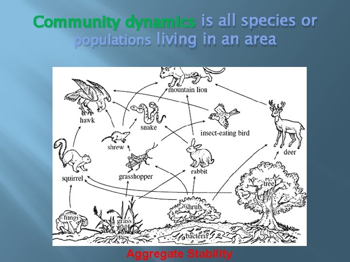 Community dynamics is all species or populations living in an area Aggregate Stability 