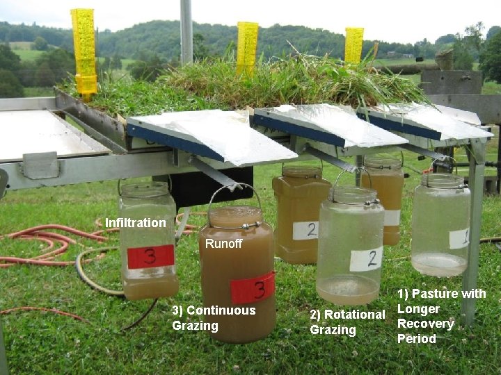 Infiltration Runoff 3) Continuous Grazing 1) Pasture with 2) Rotational Longer Recovery Grazing Period