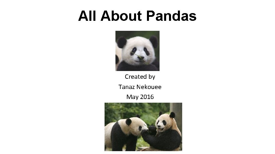 All About Pandas Created by Tanaz Nekouee May 2016 