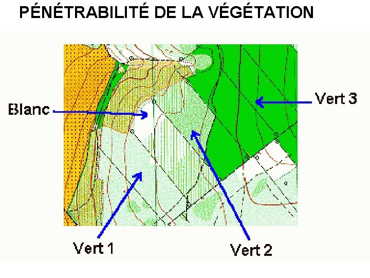 PÉNÉTRABILITÉ DE LA VÉGÉTATION 