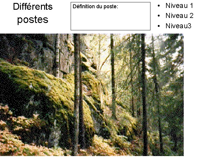 Différents postes Définition du poste: • Niveau 1 • Niveau 2 • Niveau 3