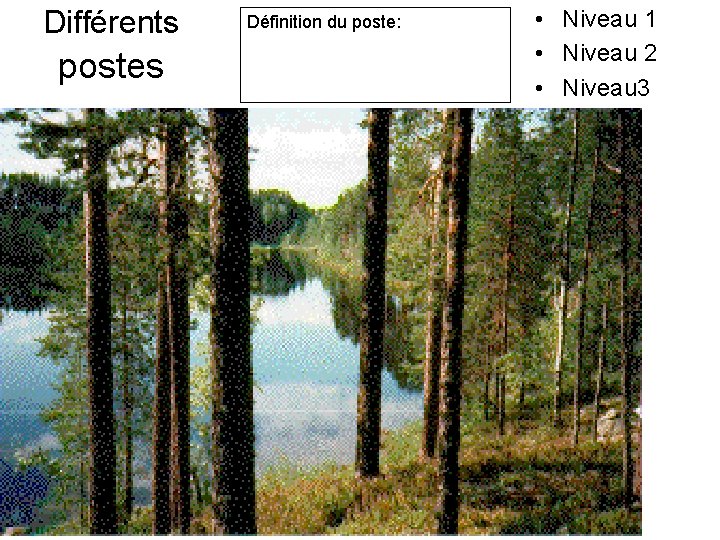 Différents postes Définition du poste: • Niveau 1 • Niveau 2 • Niveau 3