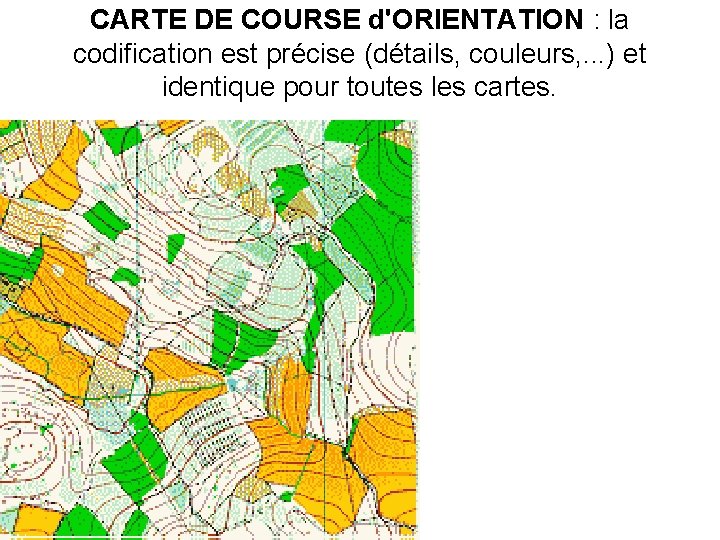 CARTE DE COURSE d'ORIENTATION : la codification est précise (détails, couleurs, . . .