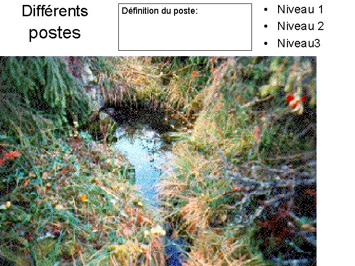 Différents postes Définition du poste: • Niveau 1 • Niveau 2 • Niveau 3