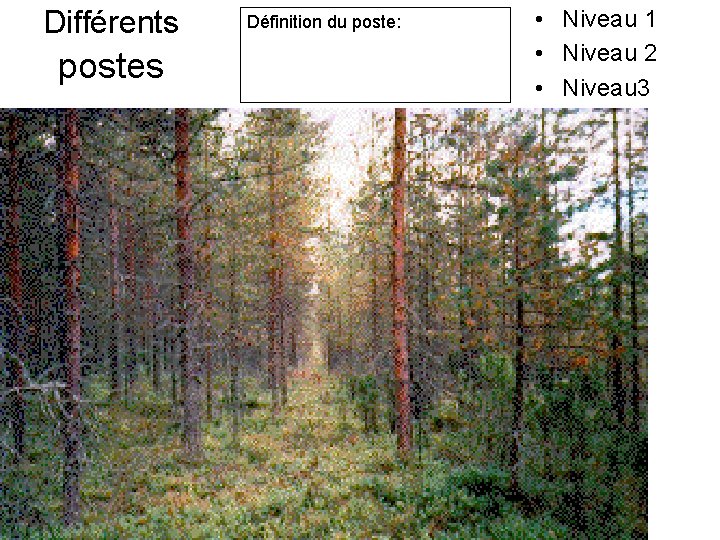 Différents postes Définition du poste: • Niveau 1 • Niveau 2 • Niveau 3