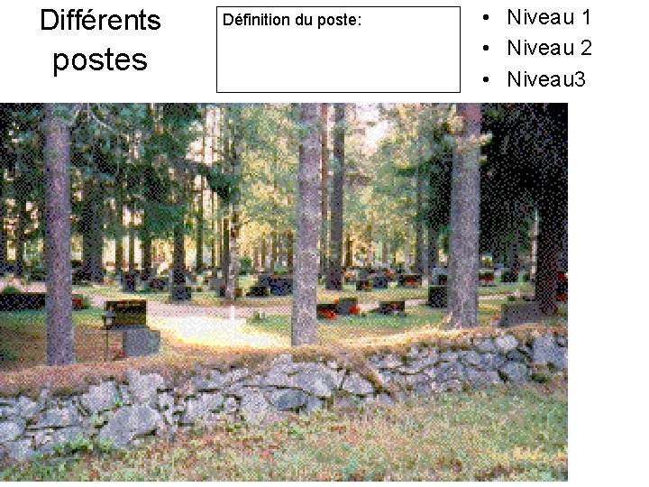 Différents postes Définition du poste: • Niveau 1 • Niveau 2 • Niveau 3