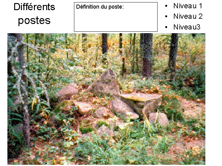 Différents postes Définition du poste: • Niveau 1 • Niveau 2 • Niveau 3