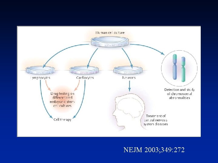 NEJM 2003; 349: 272 