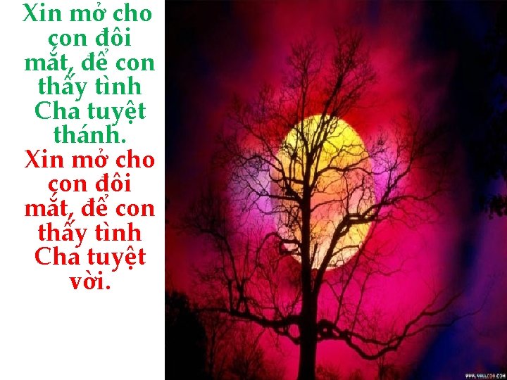 Xin mở cho con đôi mắt, để con thấy tình Cha tuyệt thánh. Xin