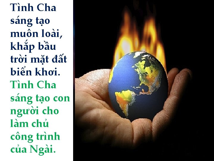 Tình Cha sáng tạo muôn loài, khắp bầu trời mặt đất biển khơi. Tình