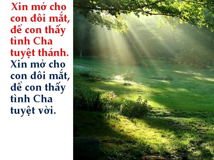 Xin mở cho con đôi mắt, để con thấy tình Cha tuyệt thánh. Xin