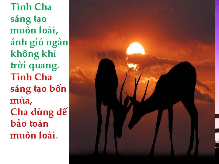 Tình Cha sáng tạo muôn loài, ánh gió ngàn không khí trời quang. Tình