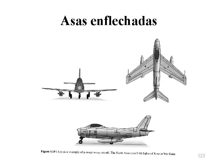 Asas enflechadas 123 