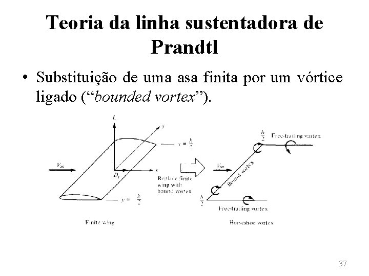 Teoria da linha sustentadora de Prandtl • Substituição de uma asa finita por um