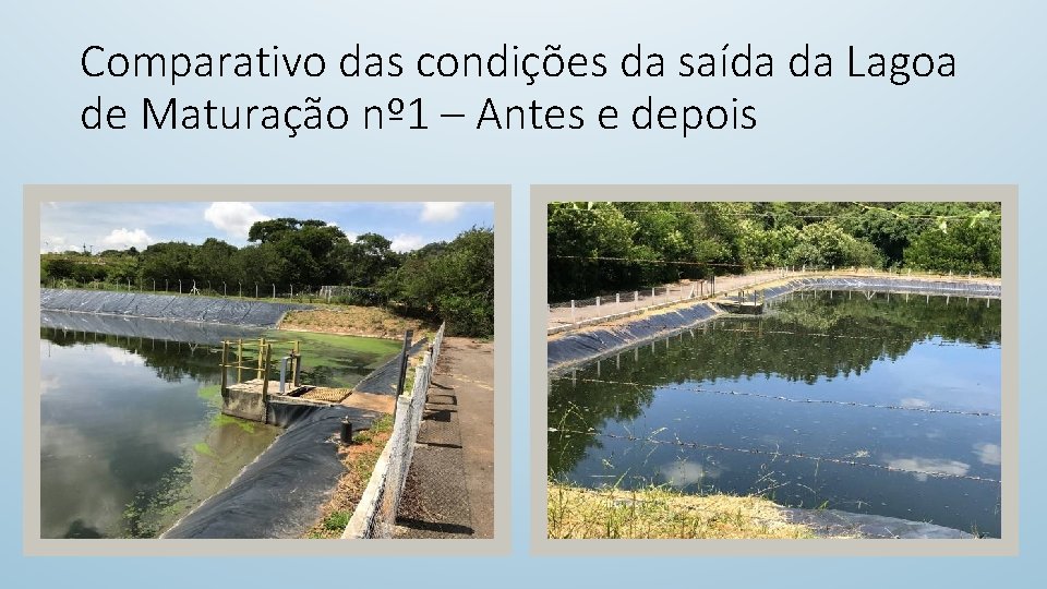 Comparativo das condições da saída da Lagoa de Maturação nº 1 – Antes e