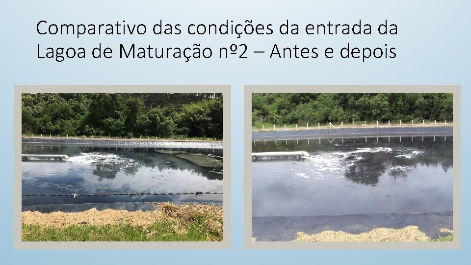 Comparativo das condições da entrada da Lagoa de Maturação nº 2 – Antes e