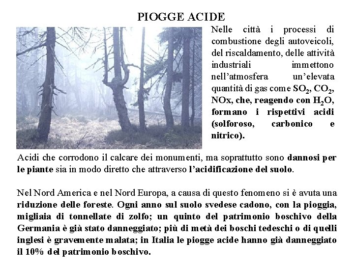 PIOGGE ACIDE Nelle città i processi di combustione degli autoveicoli, del riscaldamento, delle attività