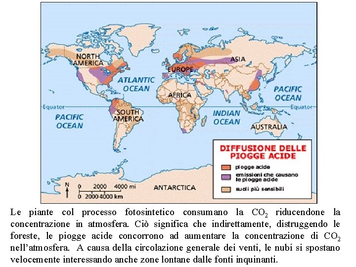 Le piante col processo fotosintetico consumano la CO 2 riducendone la concentrazione in atmosfera.