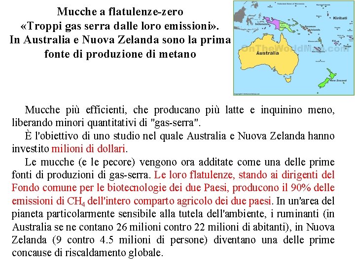 Mucche a flatulenze-zero «Troppi gas serra dalle loro emissioni» . In Australia e Nuova