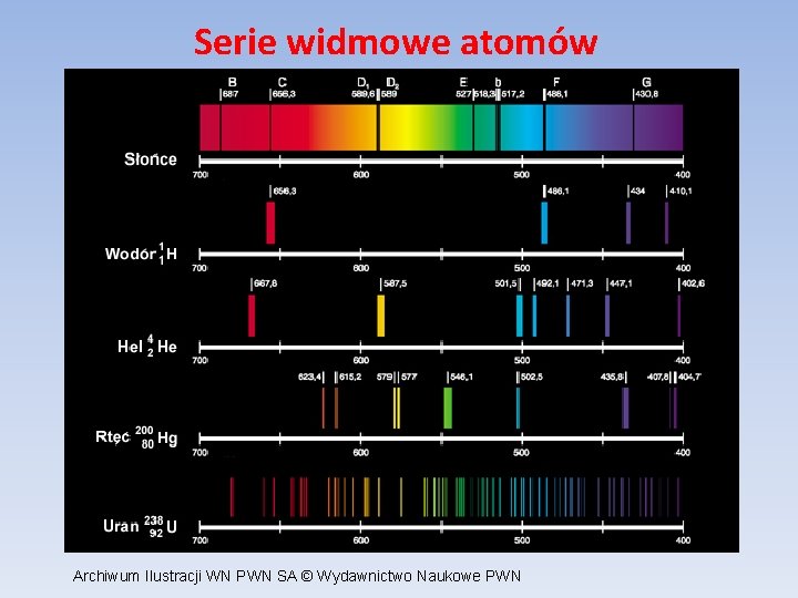 Serie widmowe atomów Archiwum Ilustracji WN PWN SA © Wydawnictwo Naukowe PWN 