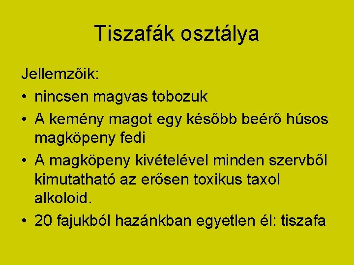 Tiszafák osztálya Jellemzőik: • nincsen magvas tobozuk • A kemény magot egy később beérő