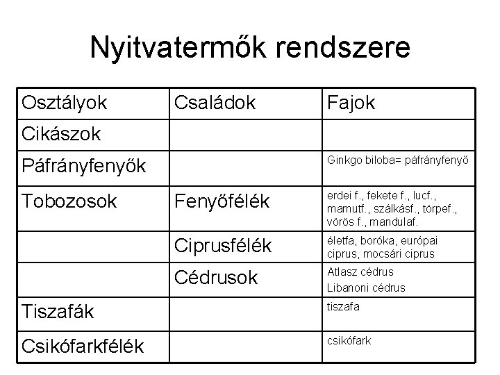 Nyitvatermők rendszere Osztályok Családok Fajok Cikászok Ginkgo biloba= páfrányfenyő Páfrányfenyők Tobozosok Fenyőfélék erdei f.