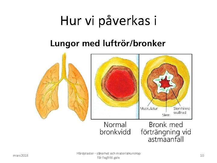 Hur vi påverkas i mars 2018 Härdplaster - säkerhet och materialkunskap för fogfritt golv