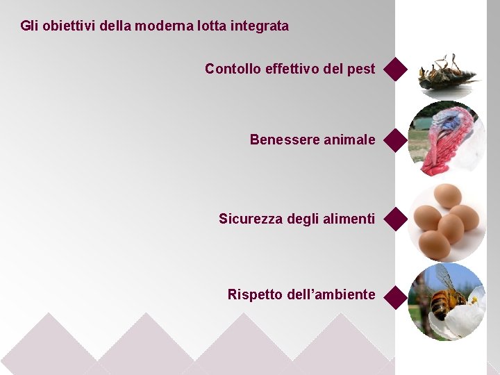 Gli obiettivi della moderna lotta integrata Contollo effettivo del pest Benessere animale Sicurezza degli
