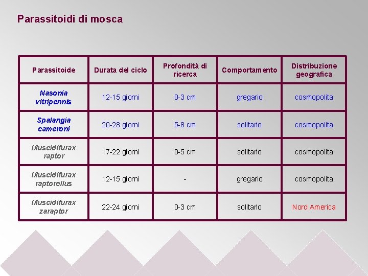 Parassitoidi di mosca Parassitoide Durata del ciclo Profondità di ricerca Comportamento Distribuzione geografica Nasonia